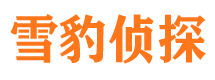 双桥区侦探公司